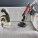 Rowenta X-Force Flex 9.60 RH2099