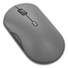 Lenovo 350 Bluetooth Stille Muis Luna Grey