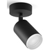 Philips Hue Fugato Opbouwspot White and Color - Zwart - 1-spot