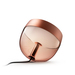 Philips Hue Iris White and Color Special Edition Koper