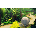 Donkey Kong Country Returns HD Nintendo Switch