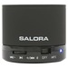 Salora BTS300 portable/party speaker Black 3 W thumbnail 1