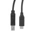 StarTech.com USB2CB3M cable USB 3 m USB 2.0 USB C USB B Negro
