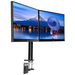 iiyama Monitorbeugel DS1002C-B1