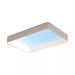Philips Skylight Daglichtlamp Middelgroot