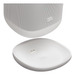 JBL Cove P1 Wit