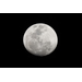 Canon RF 200-800mm f/6.3-9 IS USM