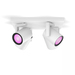 Philips Hue Argenta Opbouwspot White and Color - Wit - 4-spots