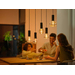 Philips Hue Lightguide Globe XL White and Color E27