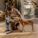 BISSELL CrossWave Edge Cordless Pro