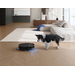 Ecovacs T50 Omni Gen 3