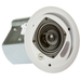 JBL CONTROL® SERIES 14C/T 2-way White Wired 60 W thumbnail 4