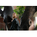 Canon RF 28-70mm f/2.8 IS STM