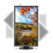 NEC MultiSync EA273WMI-BK computer monitor 68.6 cm (27″) 1920 x 1080 pixels Full HD LED Black thumbnail 4