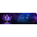 AOC AGON AG326UZD2 QD-OLED
