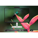 HP Inc. Komputer EliteStudio All-in-One 8  G1i U5-235 512GB/16GB/W11P/23.8 A55S4ET