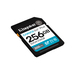 Kingston Technology Canvas Go! Plus 256 GB SDXC UHS-I Clase 10
