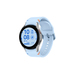 Samsung Galaxy Watch FE Zilver/Blauw