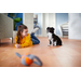 Philips FC9745/09 PowerPro Expert