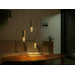 Philips Hue Lightguide Edison White and Color E27
