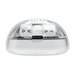 JBL Tune Flex 2 Ghost Wit