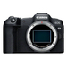 Canon EOS R8 + RF 24-50mm lens