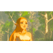 Zelda: Breath of the Wild