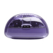 JBL Tune Flex 2 Ghost Paars