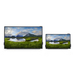DELL C5518QT computer monitor 139.7 cm (55″) 3840 x 2160 pixels 4K Ultra HD LCD Touchscreen thumbnail 2