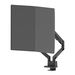 Neomounts NEXT Slim DS70-250BL2 Monitorarm Gasgeveerd Zwart