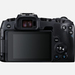 Canon EOS RP + 24-105 f/4-7.1