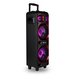 NGS Wild Ska 1 Black 300 W thumbnail 1