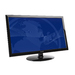 TERRA LED 2450W computer monitor 61 cm (24″) 1920 x 1080 pixels Full HD Black thumbnail 5