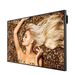 BenQ SL6502K Pantalla plana de señalización digital 165.1 cm (65") LED 500 cd / m² 4K Ultra HD Negro Android