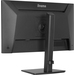 iiyama ProLite XB2491HS-B1