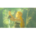 The Legend of Zelda: Breath of the Wild Nintendo Switch 2 Edition