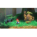 Super Mario Odyssey Switch