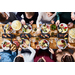 Tefal Plug & Share RE230812 - 2 personen