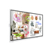 Samsung Flip Pro WM75FX
