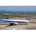 Canon RF 100-400 f/5.6-8 USM