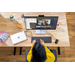 Monitor HP E27d G4 QHD USB-C Docking 6PA56A4