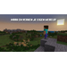 Minecraft Nintendo Switch