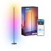 Govee Floor Lamp Basic