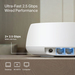 TP-Link DECO BE25(3-PACK) sistema wi-fi de malla Doble banda (2,4 GHz / 5 GHz) Wi-Fi 7 (802.11be) Blanco 2 Interno
