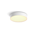 Philips Hue Enrave S + dimmer