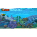 Donkey Kong Country Tropical Freeze Nintendo Switch