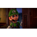 Luigi's Mansion 3 Switch