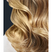 Rowenta Pro Expert AC CV8830F0