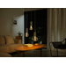 Philips Hue Lightguide Globe XL White and Color E27
