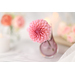 Canon RF 85mm f/1.4L VCM